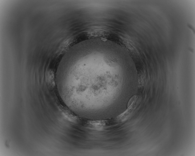 X0000092050187200709121219