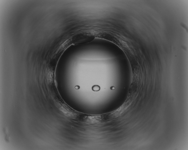 X0000092050188200709121219