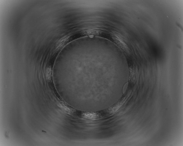 X0000092050189200709121219