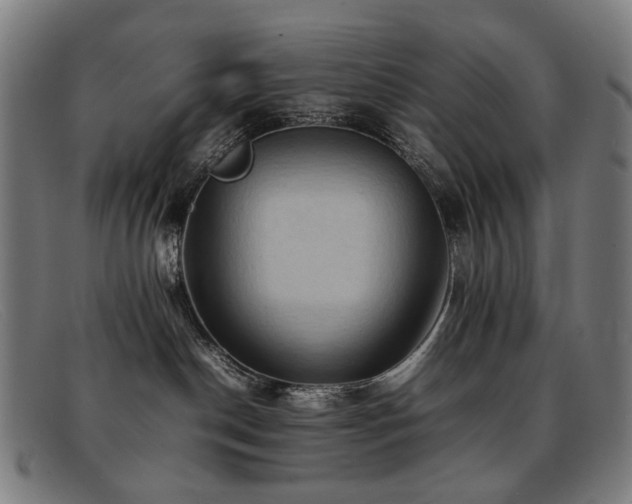 X0000092050190200709121219