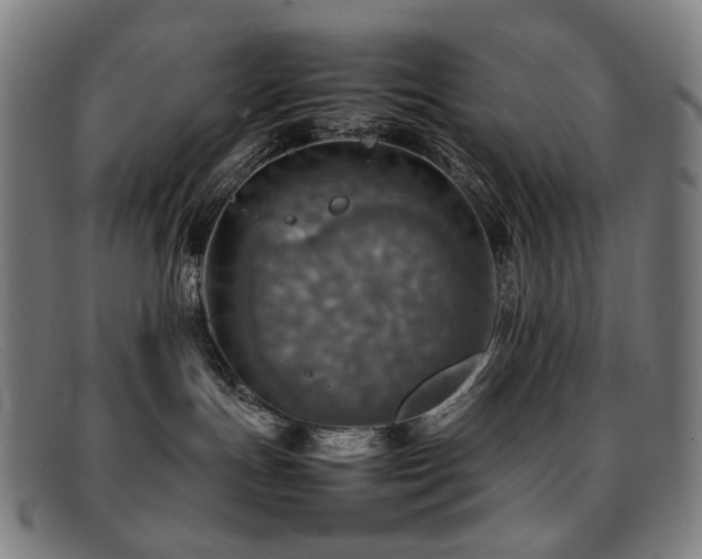 X0000092050191200709121219