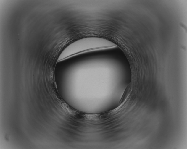 X0000092050192200709121219