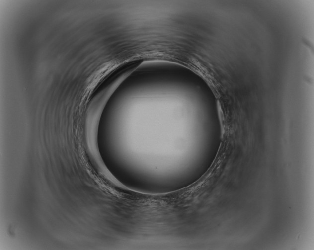 X0000092050193200709121219