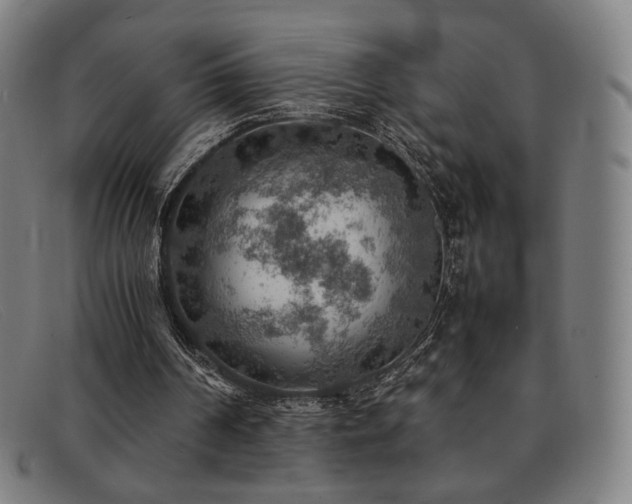 X0000092050194200709121219