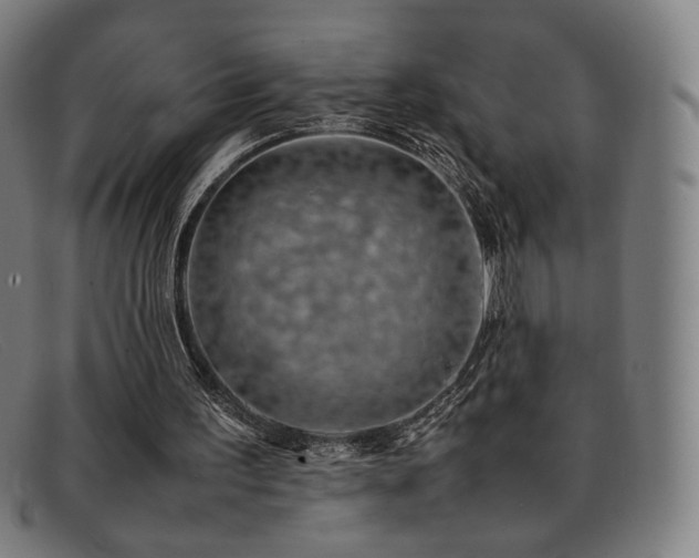 X0000092050195200709121219