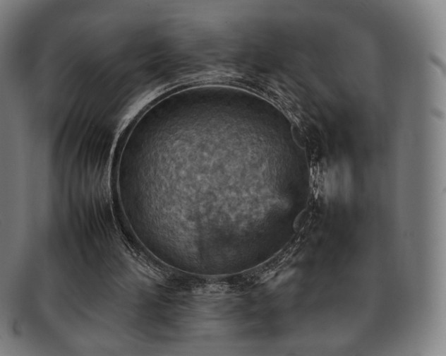 X0000092050196200709121219