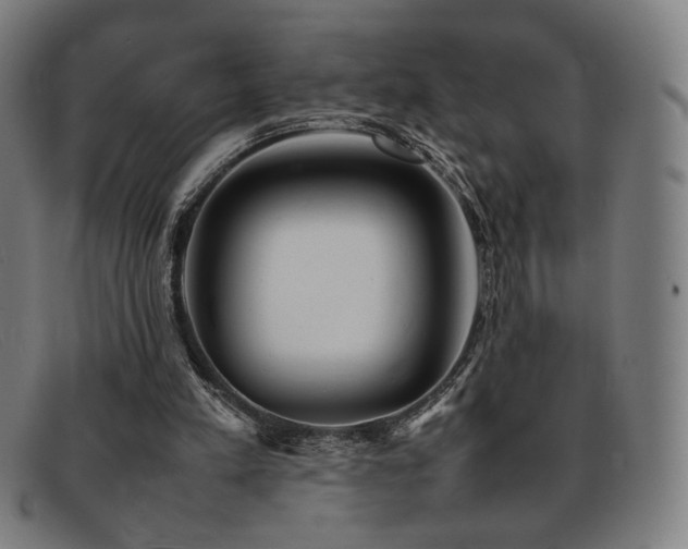 X0000092050197200709121219