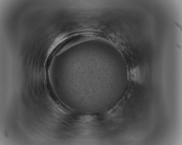 X0000092050198200709121219