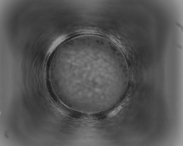 X0000092050199200709121219