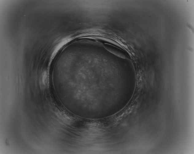 X0000092050200200709121219