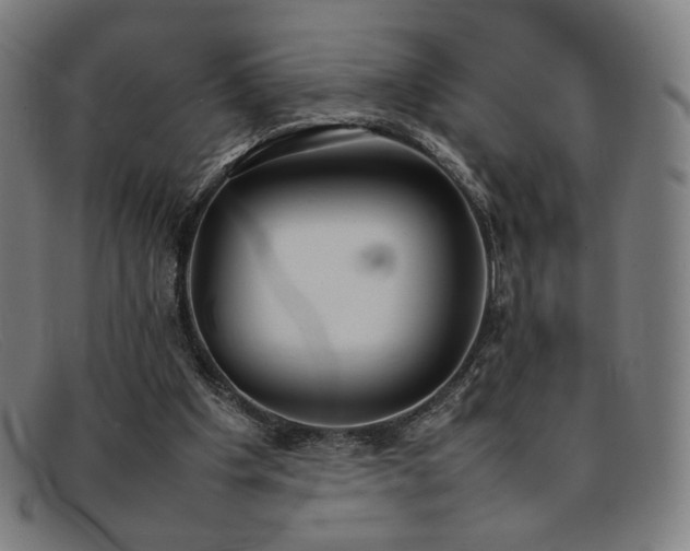 X0000092050201200709121219