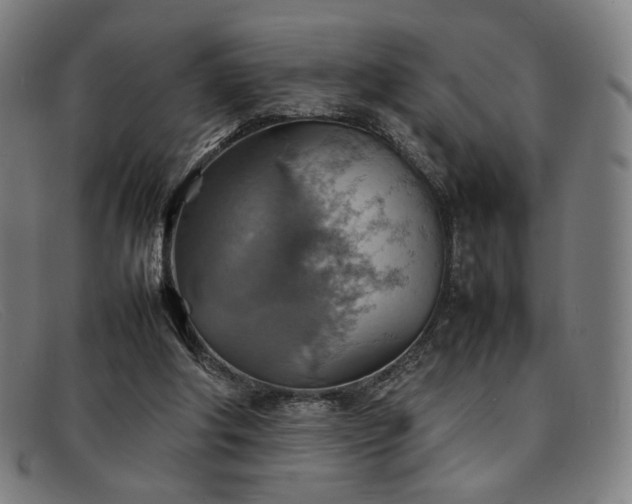 X0000092050202200709121219