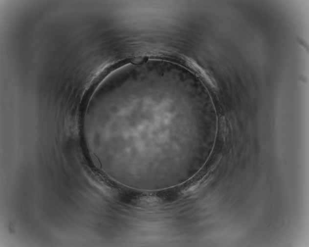 X0000092050203200709121219