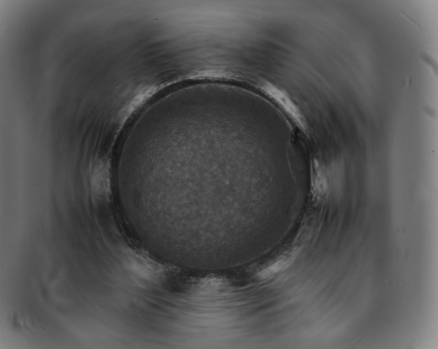 X0000092050204200709121219