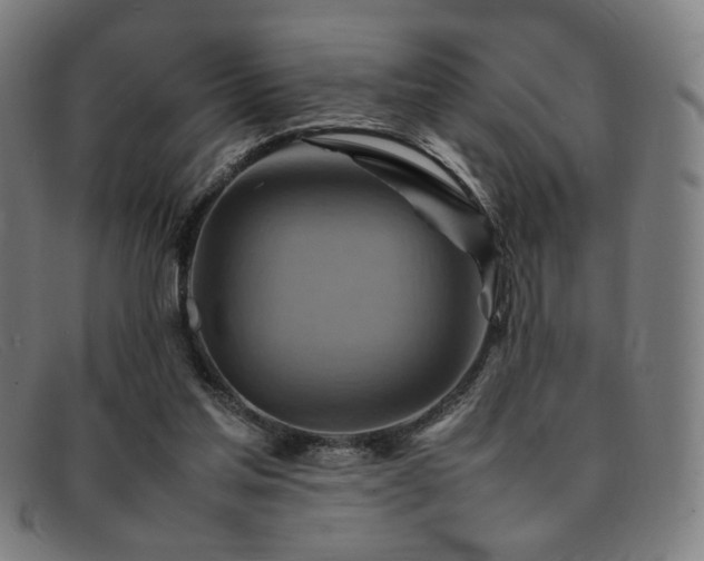 X0000092050205200709121219