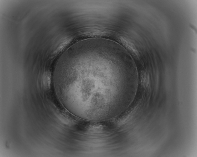 X0000092050206200709121219