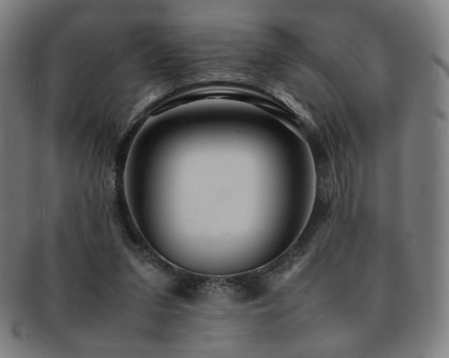 X0000092050207200709121219