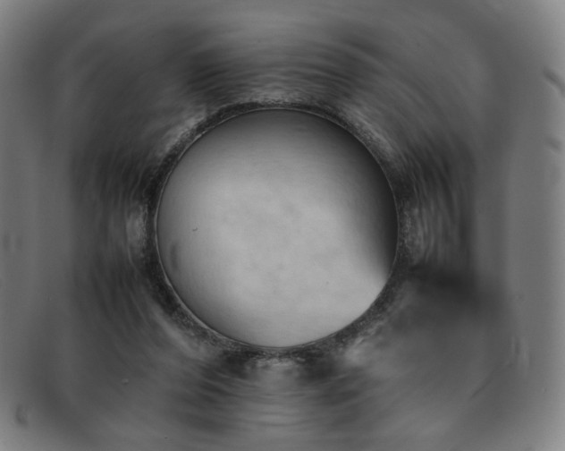 X0000092050208200709121219