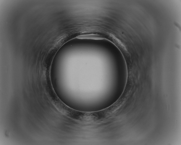 X0000092050209200709121219