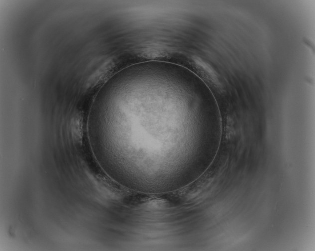 X0000092050210200709121219