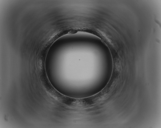 X0000092050211200709121219