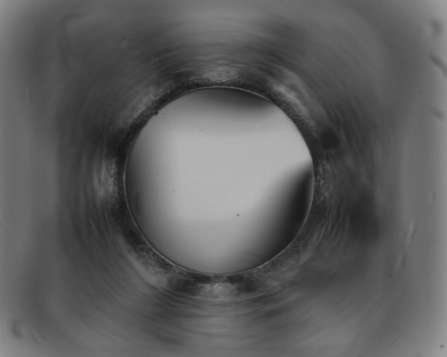 X0000092050212200709121219