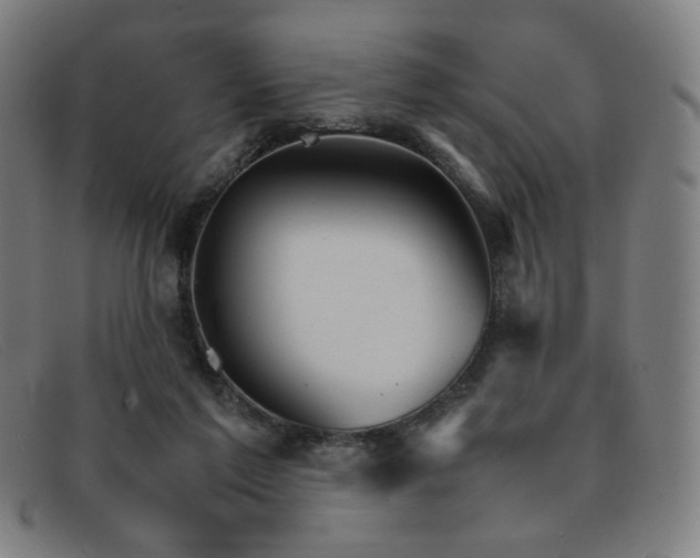 X0000092050213200709121219