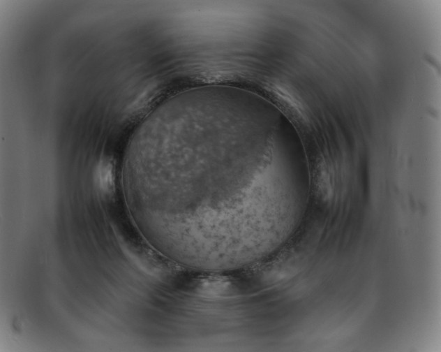 X0000092050214200709121219