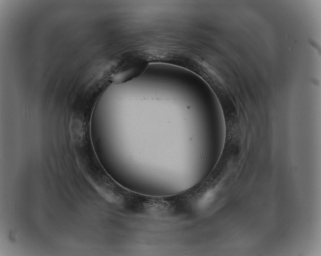 X0000092050215200709121219