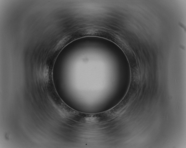 X0000092050216200709121219