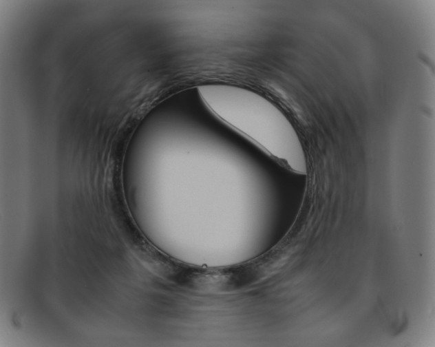 X0000092050217200709121219