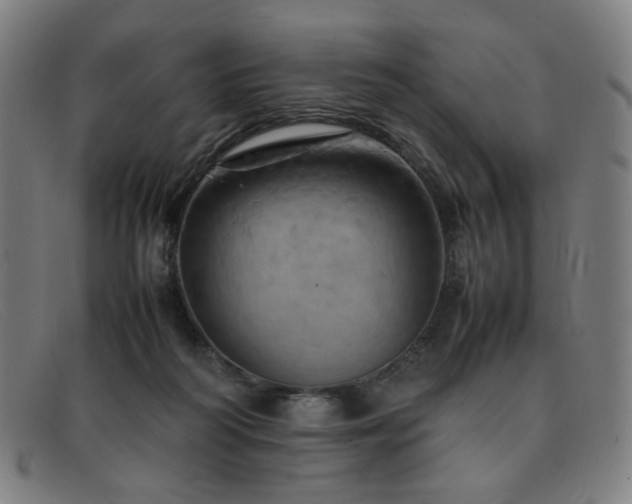 X0000092050218200709121219