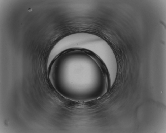 X0000092050219200709121219