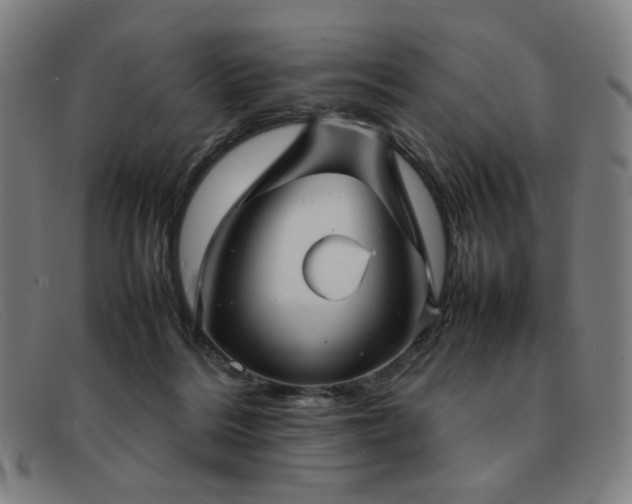 X0000092050220200709121219