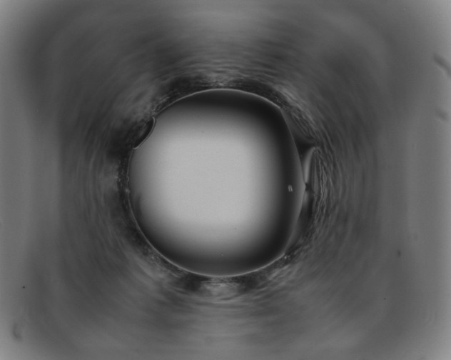 X0000092050221200709121218