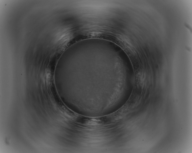 X0000092050222200709121218