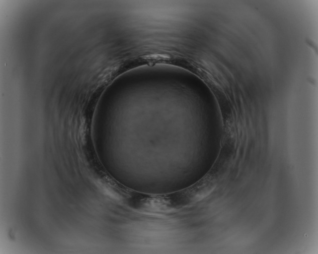 X0000092050223200709121218