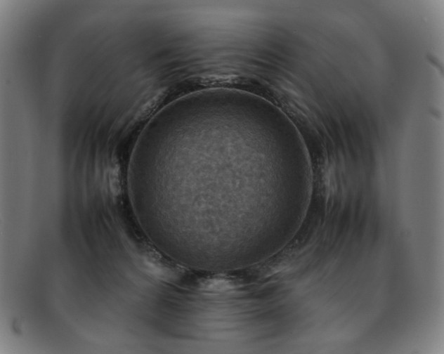 X0000092050224200709121218