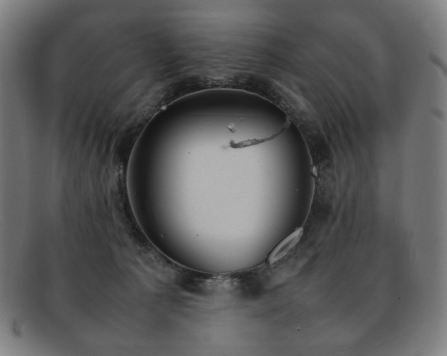 X0000092050225200709121218