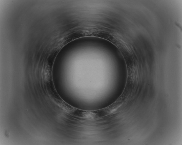 X0000092050226200709121218