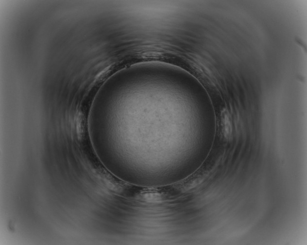 X0000092050228200709121218