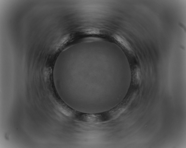 X0000092050229200709121218