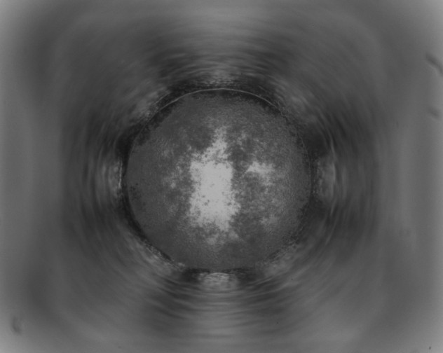 X0000092050230200709121218