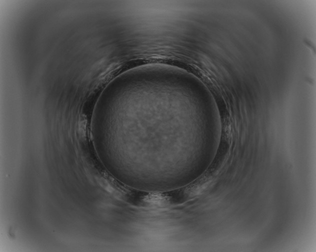 X0000092050231200709121218