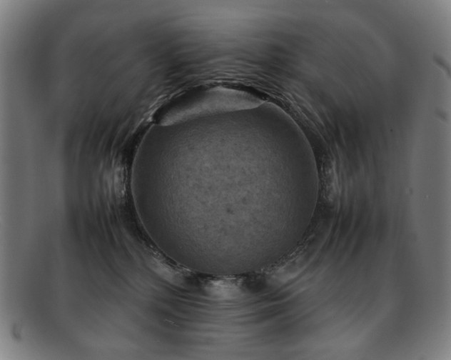 X0000092050232200709121218