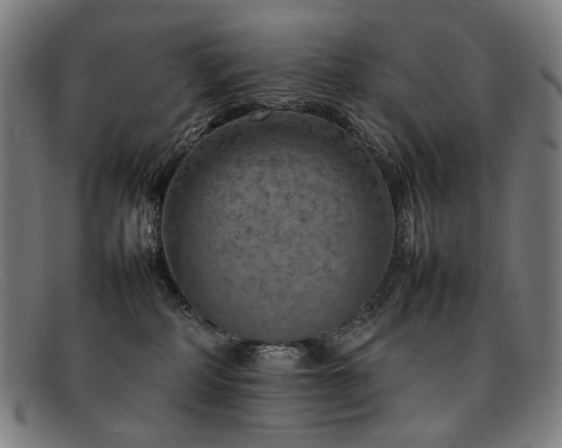 X0000092050234200709121218