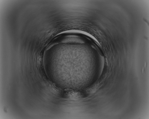 X0000092050235200709121218