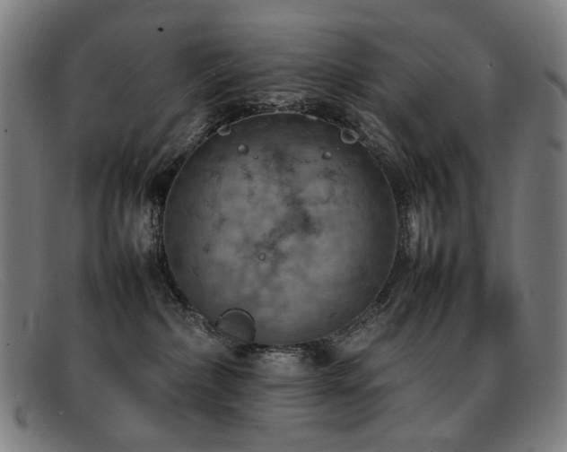 X0000092050236200709121218