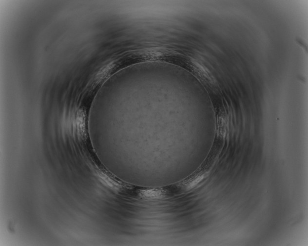 X0000092050238200709121218