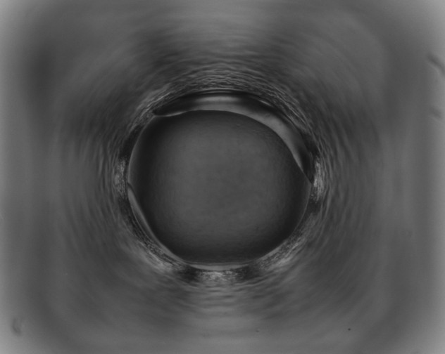 X0000092050239200709121218